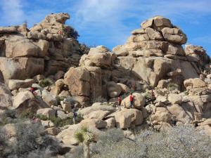 Joshua Tree National Park rock scrambling