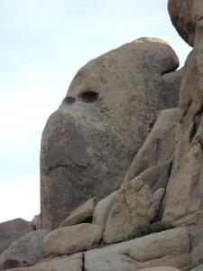 Joshua Tree National Park Split Rock Loop Trail