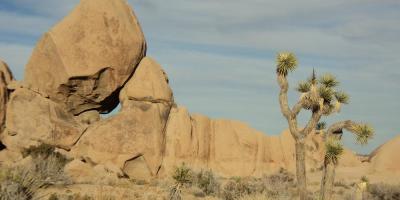 Joshua Tree National Park Split Rock Loop Trail