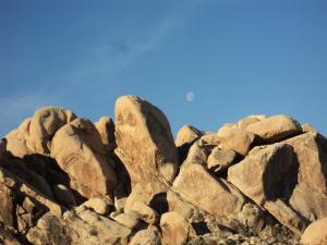 Joshua Tree National Park Indian Cove campground