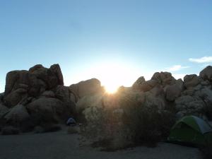 Joshua Tree National Park Indian Cove campground