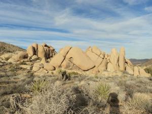 Joshua Tree National Park Split Rock Loop Trail
