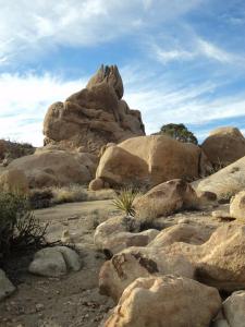 Joshua Tree National Park Split Rock Loop Trail