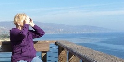 Whale watching in LA, Point Dume, Southern California