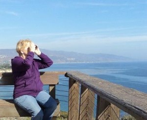 Whale watching in LA, Point Dume, Southern California