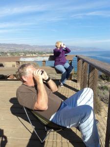 Whale watching in LA, Point Dume, Southern California