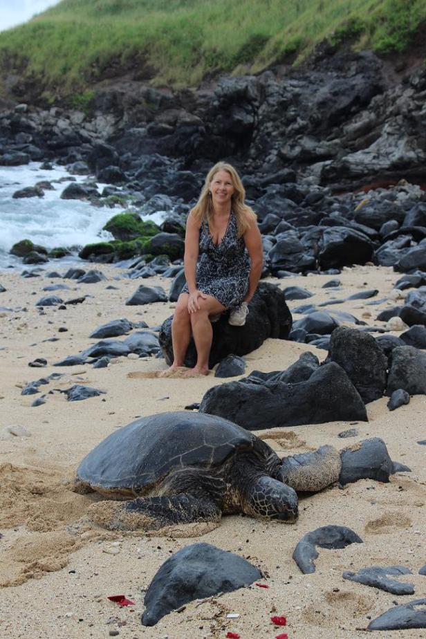 maui, hawaii, green sea turtle, east coast maui, endangered species