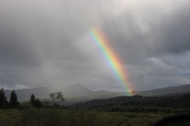 Grand Tetons, Yellowstone National Park, geysers, volcano, hot springs, wildlife, bison, elk, hiking, trails