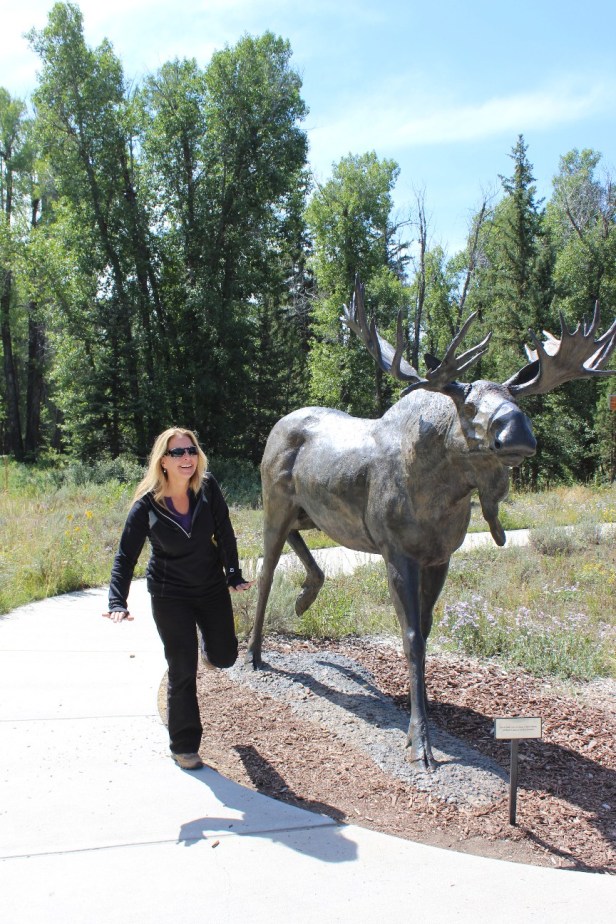elk, Craig Thomas Discovery & Visitor Center, Grand Teton National Park and area, wildlife viewings, Wyoming, Jenny Lake, Colter Bay, Jackson Hole, moose, mule deer, bison