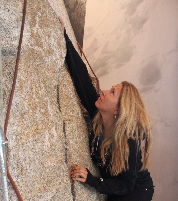 Craig Thomas Discovery & Visitor Center, Grand Teton National Park and area, wildlife viewings, Wyoming, Jenny Lake, Colter Bay, Jackson Hole, moose, mule deer, bison