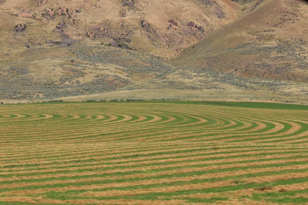 teardrop trailer, vintage trailer, tiny trailer, national park road trip,, Utah, Wyoming, journey not the destination, landscape, hay, scenery