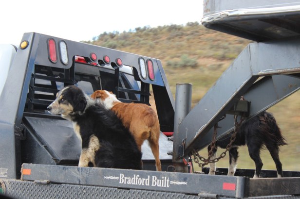 teardrop trailer, vintage trailer, tiny trailer, national park road trip,, Utah, Wyoming, journey not the destination, landscape, hay, scenery