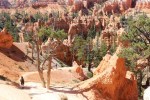 Bryce Canyon National Park, Utah's Mighty Five, HooDoos, best hiking, best hikes, bucket list items, Teardrop Adventures, teardrop trailer travel trips and tips