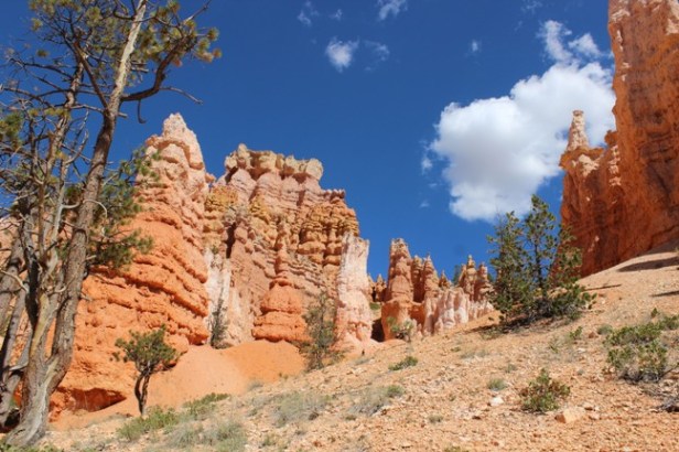 Bryce Canyon National Park, Utah's Mighty Five, HooDoos, best hiking, best hikes, bucket list items, Teardrop Adventures, teardrop trailer travel trips and tips