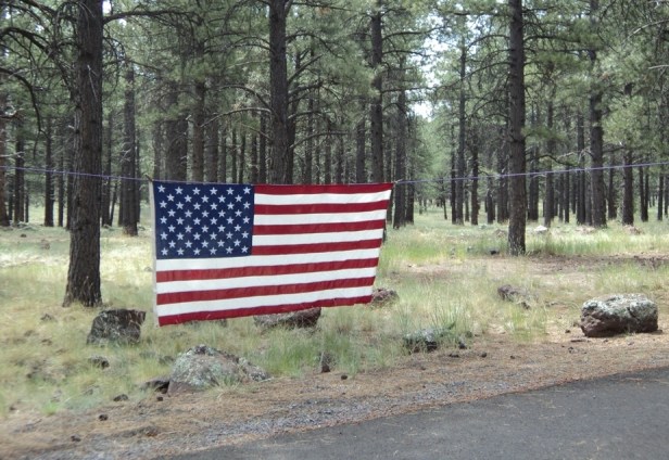 WILLIAMS_07042015_002