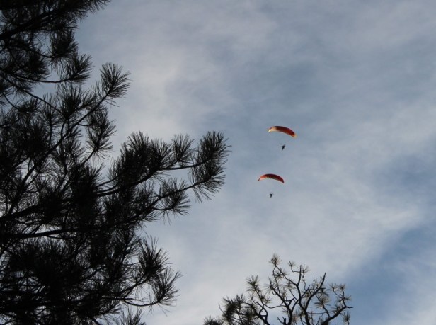 Grand Canyon Nationa Park, South Rim, Mather Campground