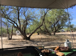 Catalina State Park, Tuscon, Arizona