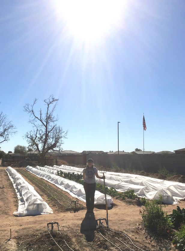 Kyle Cease, Limitation Game, seizing opportunities, volunteering leads to work