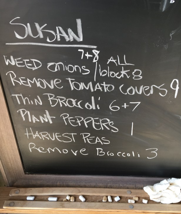 Kyle Cease, Limitation Game, seizing opportunities, volunteering leads to work