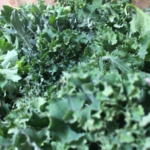 eating organic, healthy eating